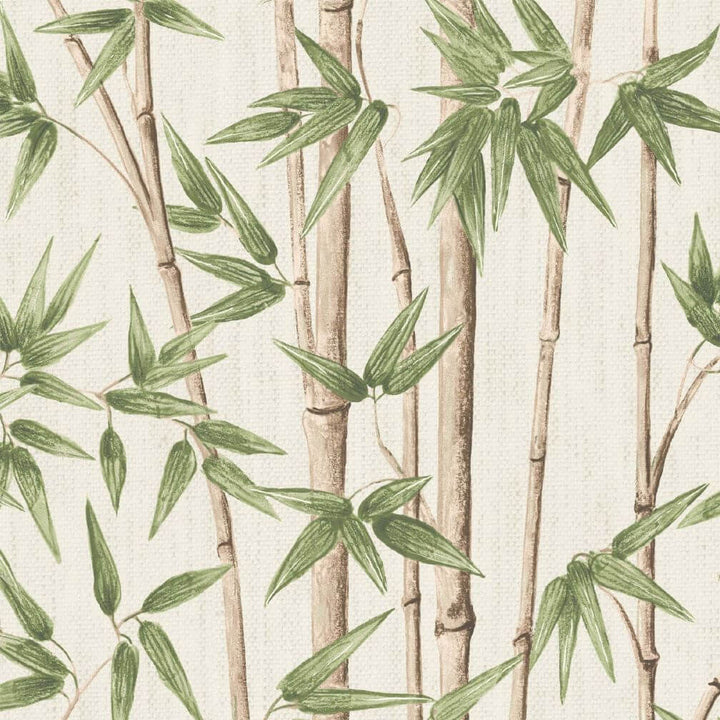Woodchip & Magnolia Bamboozle Sage Wallpaper - WM-397-02