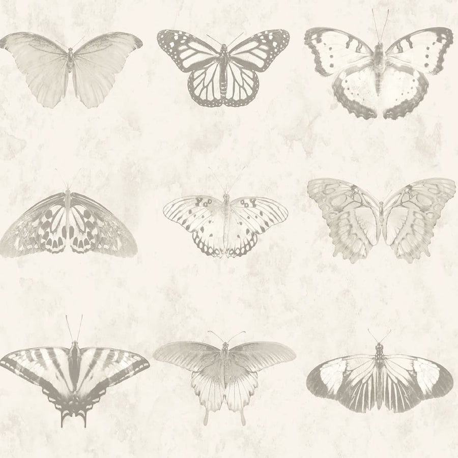 Woodchip & Magnolia Lepidoptera Magnolia Wallpaper - WM - 356 - 06