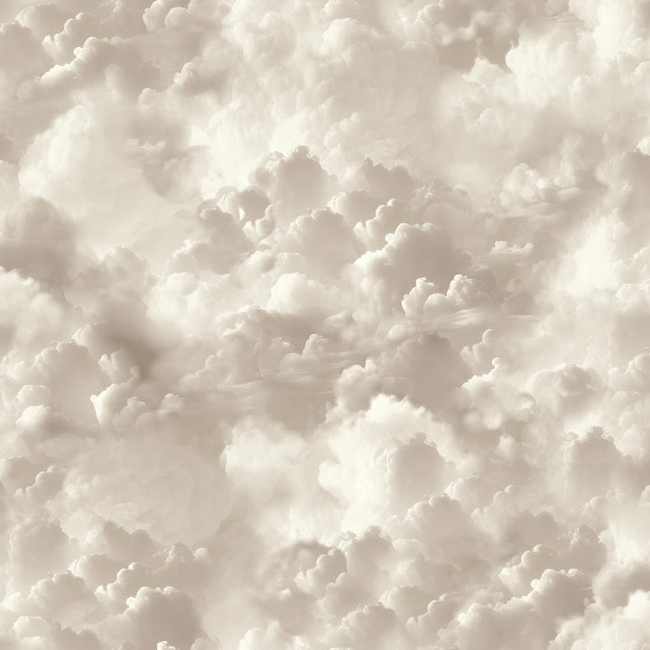 Arthouse Vanilla Skies Neutral Wallpaper