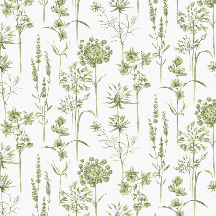 Superfresco Easy Medley Fig Green & White Wallpaper