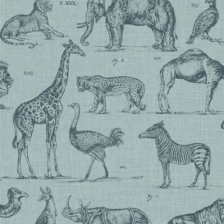 Superfresco Easy Zoology Wallpaper