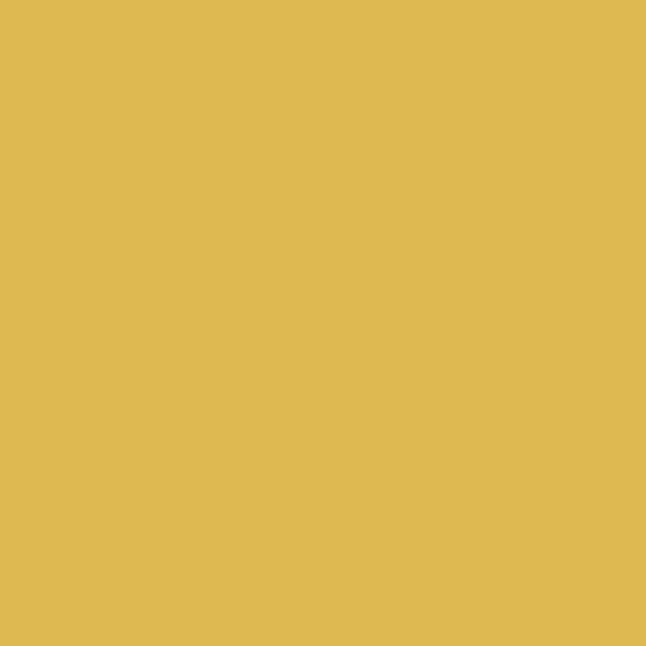 Joules Brolley Multi Surface Matt Paint 2.5L