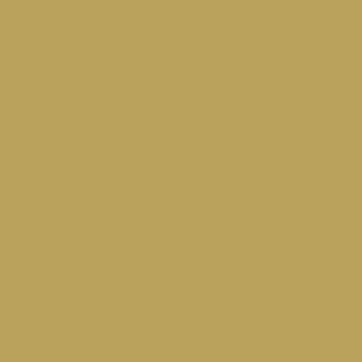 Joules Twitcher Multi Surface Matt Paint 2.5L