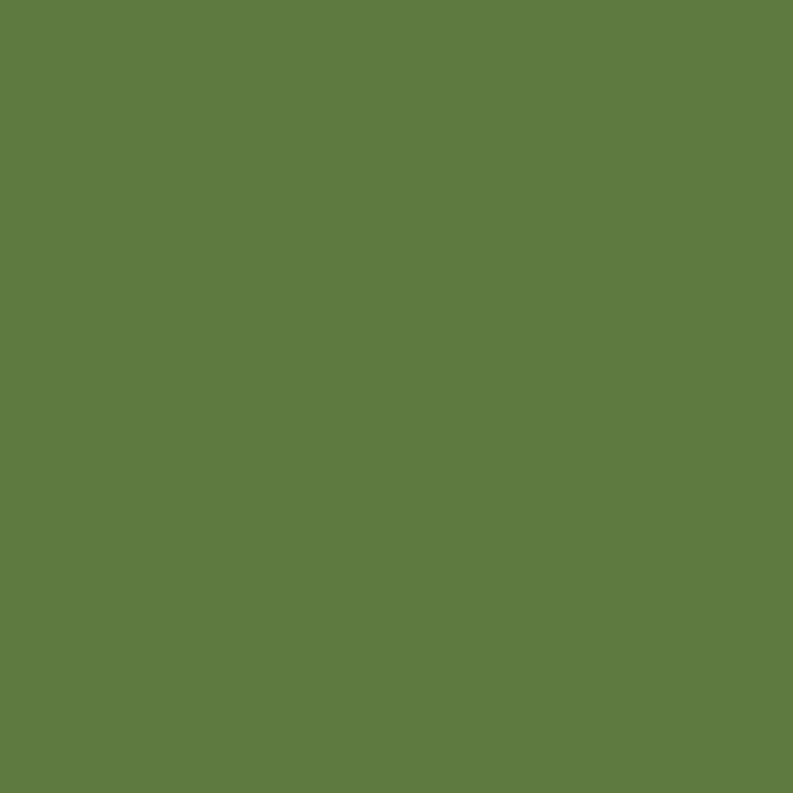 Joules Upper Bridge Green Multi Surface Matt Paint 2.5L