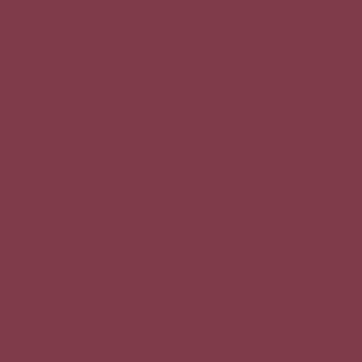 Joules Foxton Sloes Multi Surface Matt Paint 2.5L
