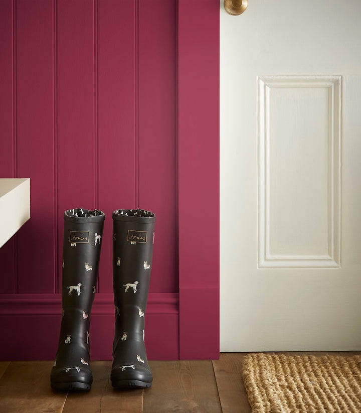 Joules Fritillary Multi Surface Matt Paint 2.5L