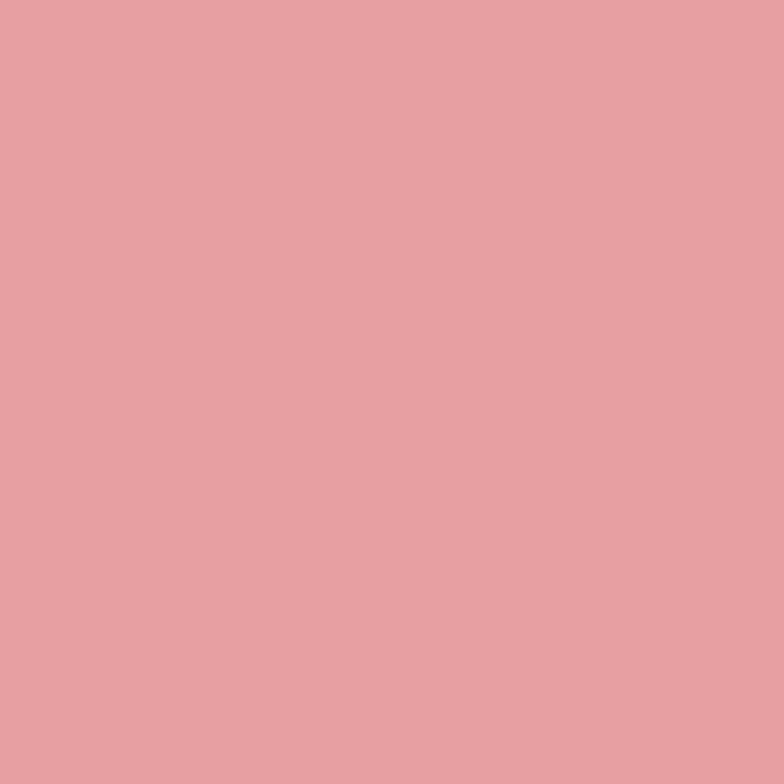 Joules Flower Market Multi Surface Matt Paint 2.5L