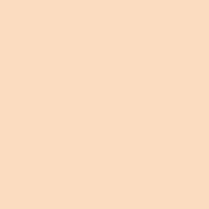 Joules Bushell Multi Surface Matt Paint 2.5L