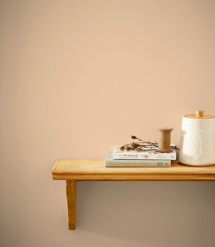 Joules Bushell Multi Surface Matt Paint 2.5L