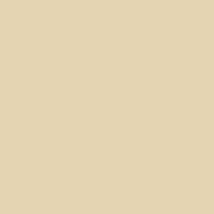 Joules Reed White Multi Surface Matt Paint 2.5L