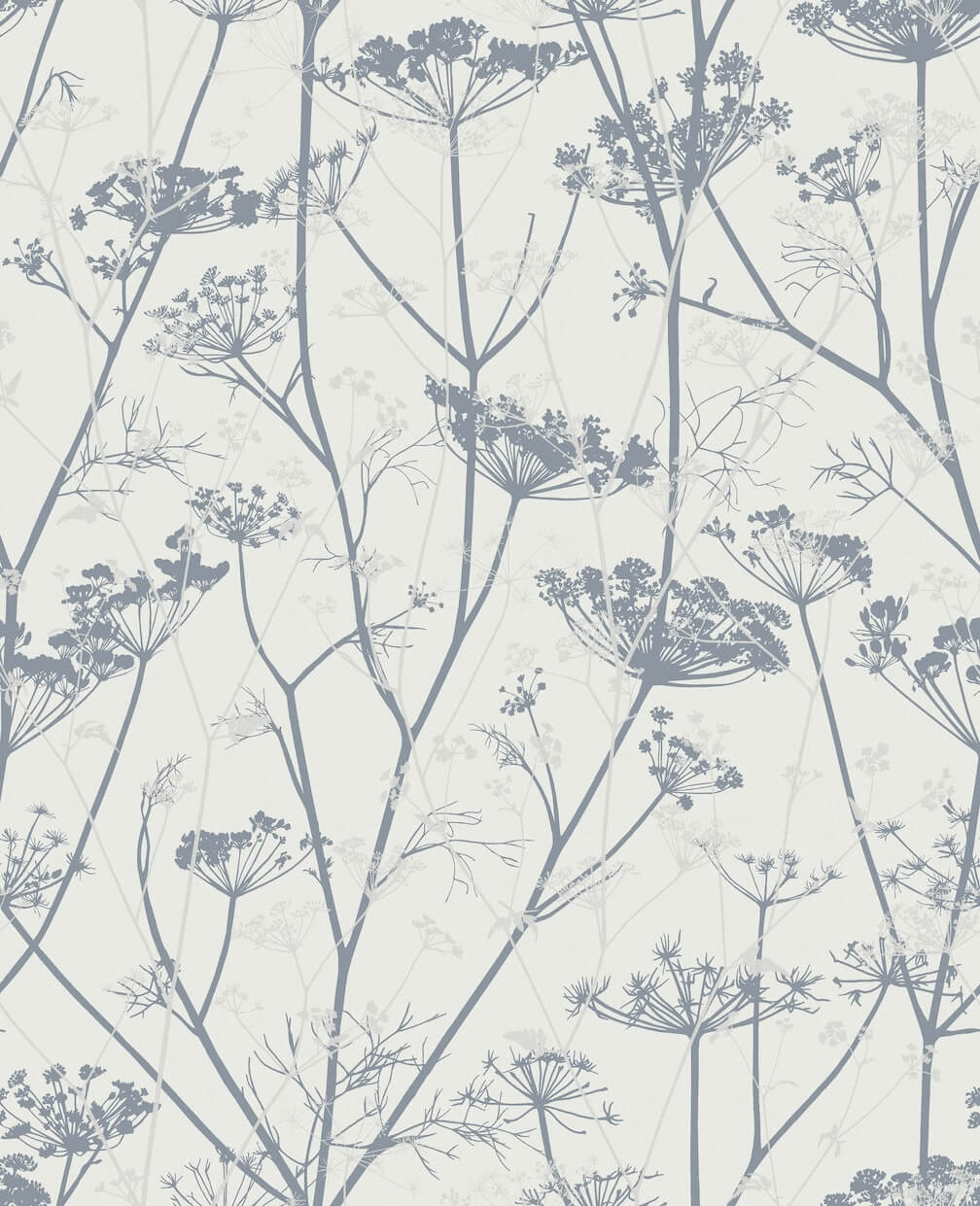 Clarissa Hulse Wild Chervil Dove & Silver Wallpaper