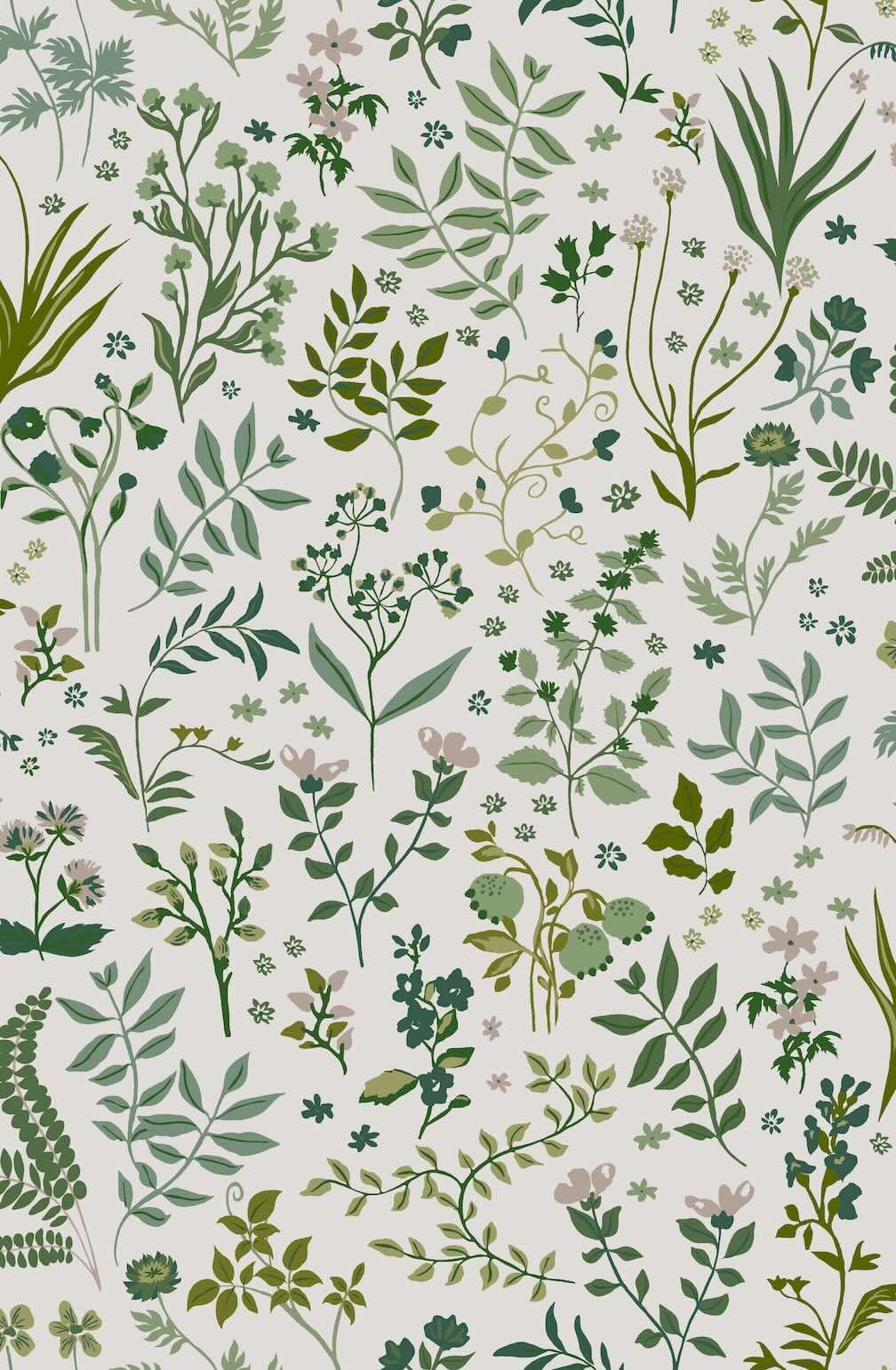 Joules Holcombe Floral Creme Wallpaper
