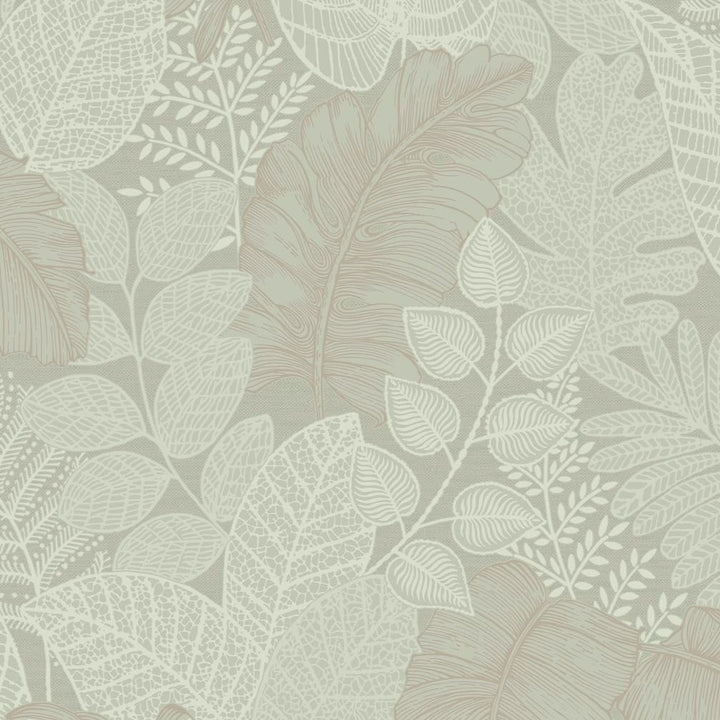 Superfresco Easy Scattered Leaves Sage Green Wallpaper