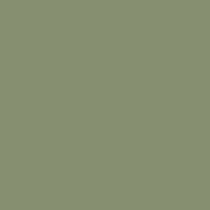 William Morris At Home Gallery Emulsion Sauntered Leaf 2.5L
