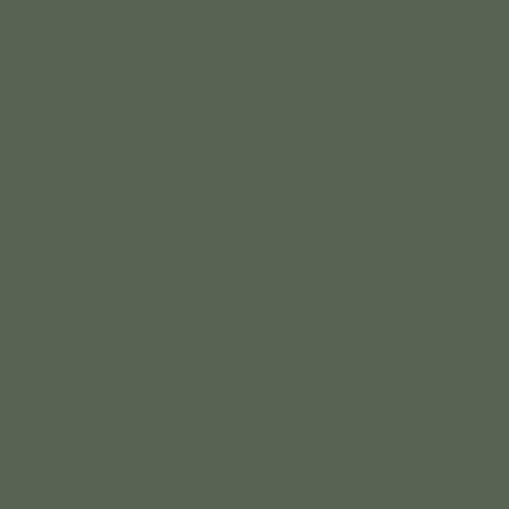 William Morris At Home Gallery Emulsion Olive Character 2.5L