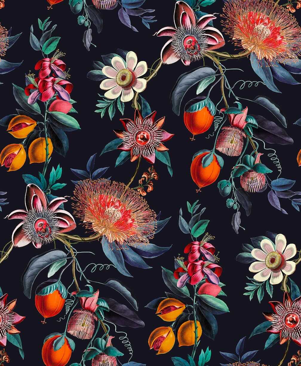 Graham & Brown Physic Garden Navy Wallpaper