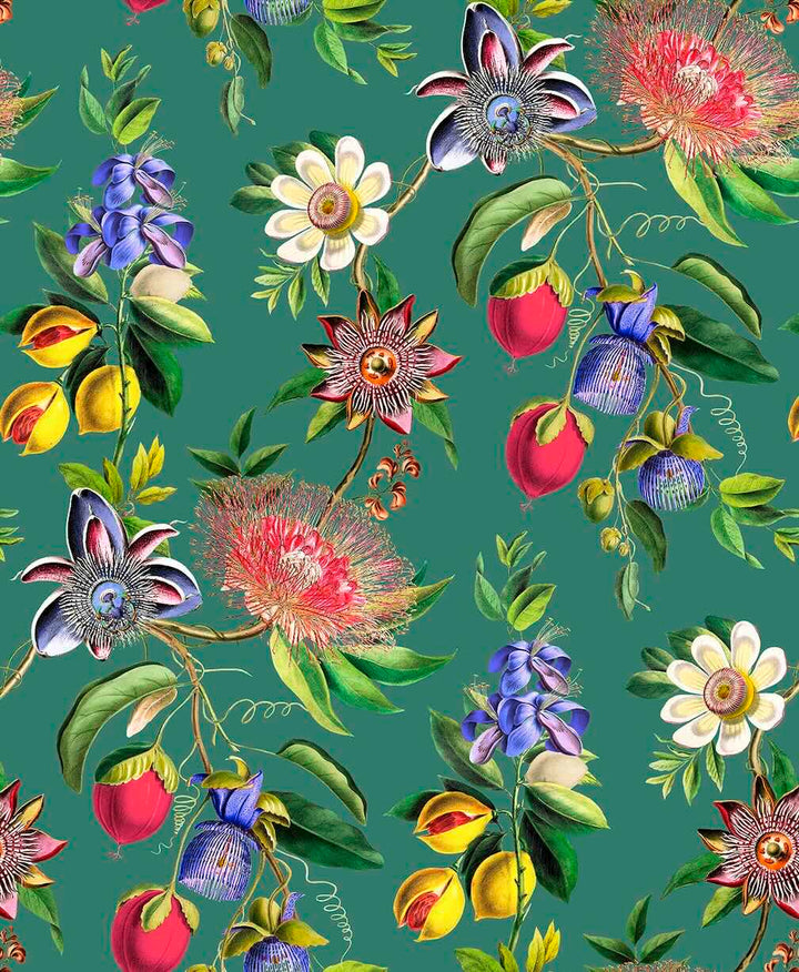 Graham & Brown Physic Garden Teal Wallpaper