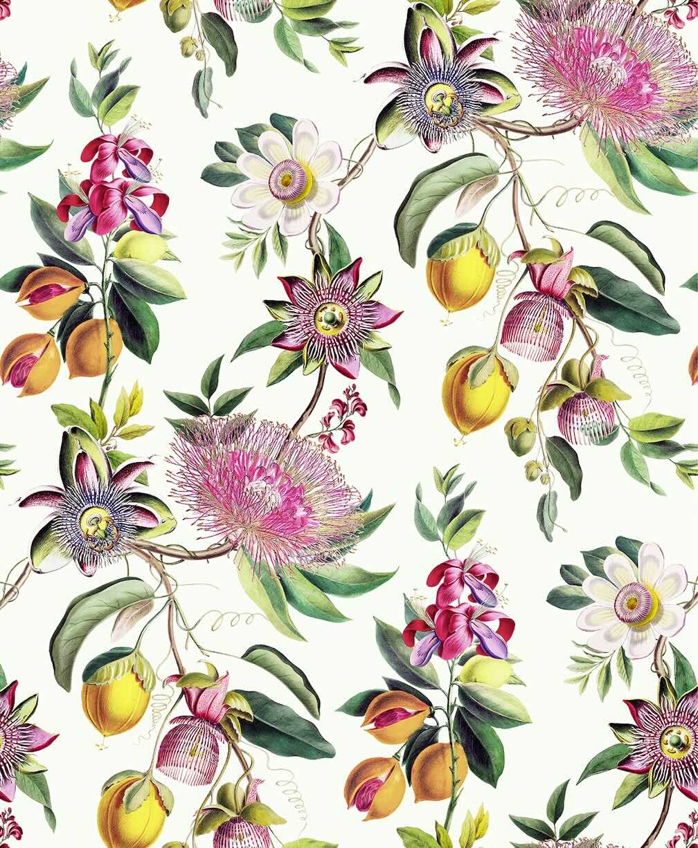 Graham & Brown Physic Garden Lush Wallpaper