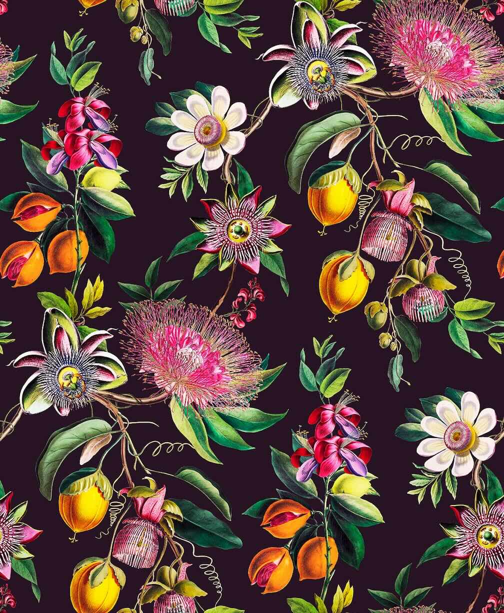 Graham & Brown Physic Garden Blackcurrant Wallpaper