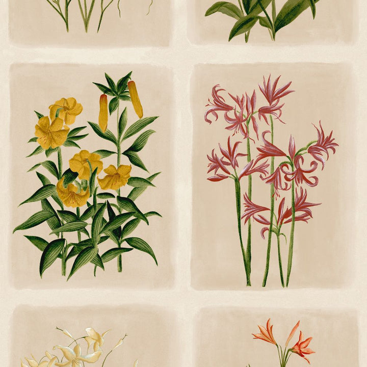 Laura Ashley Pershore Postcards Linen Wallpaper