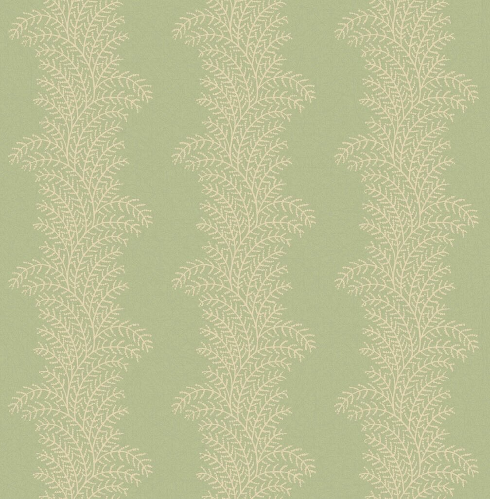 Graham & Brown Whispering Fern Dark Sage Wallpaper