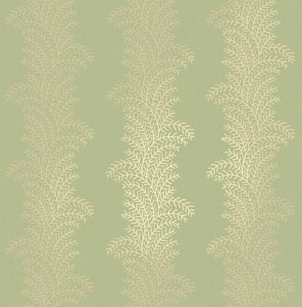 Graham & Brown Whispering Fern Dark Sage Wallpaper