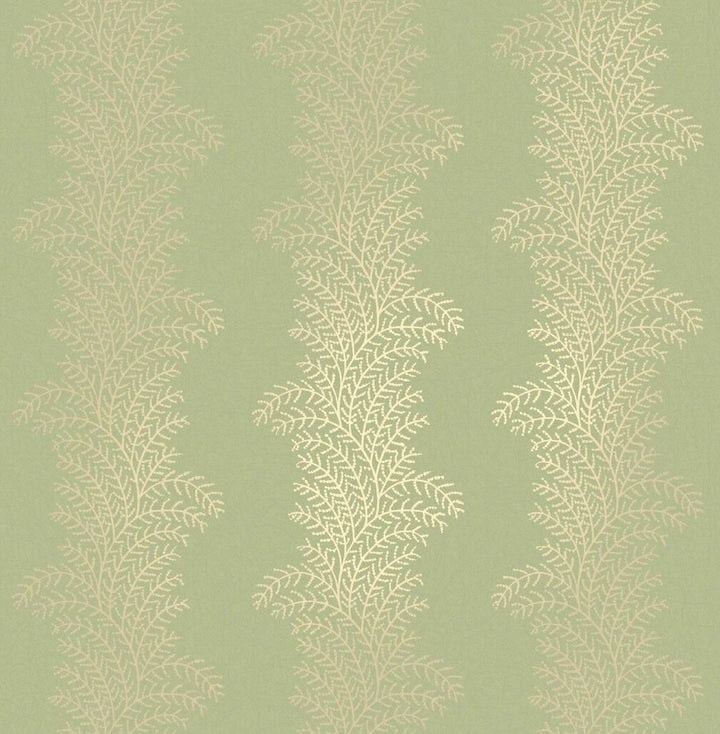 Graham & Brown Whispering Fern Dark Sage Wallpaper