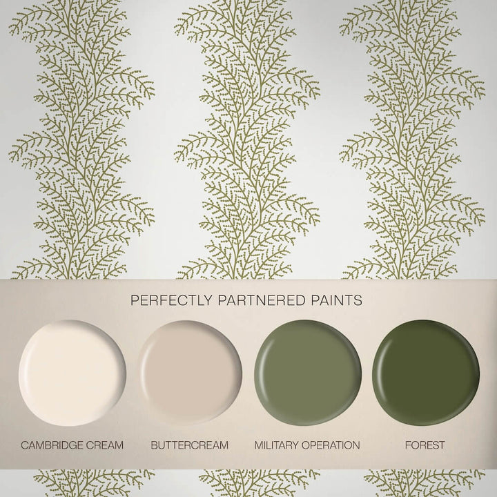 Graham & Brown Whispering Fern Willow Wallpaper