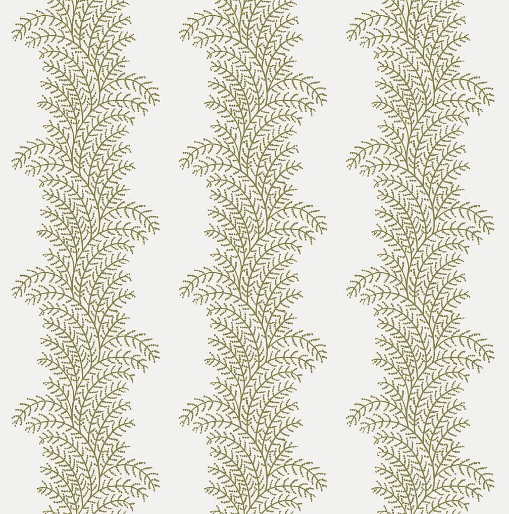Graham & Brown Whispering Fern Willow Wallpaper