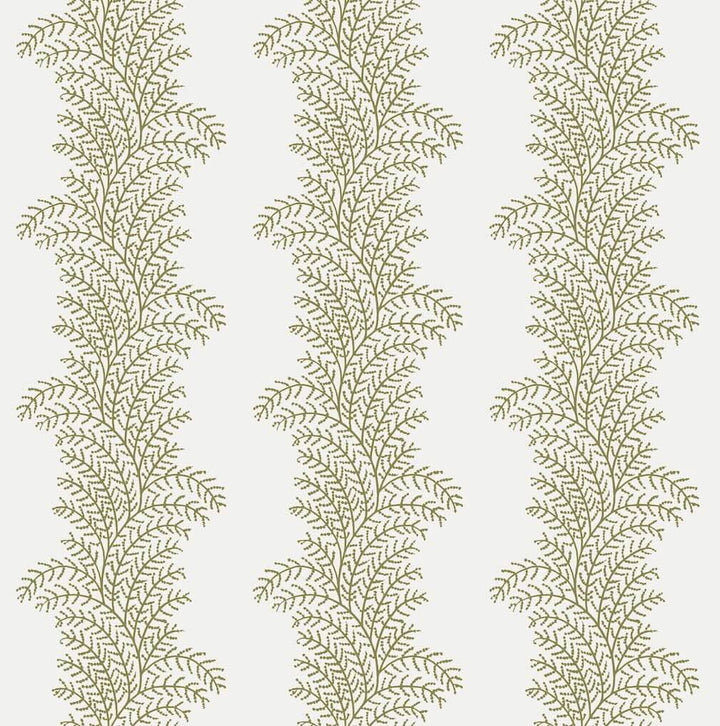 Graham & Brown Whispering Fern Willow Wallpaper