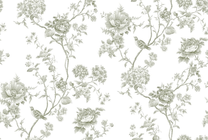 Martha Stewart Floral Vine Moss Wallpaper