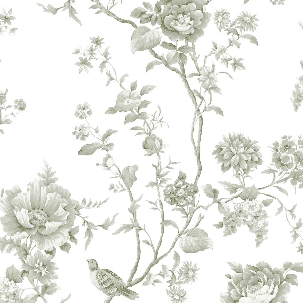 Martha Stewart Floral Vine Moss Wallpaper