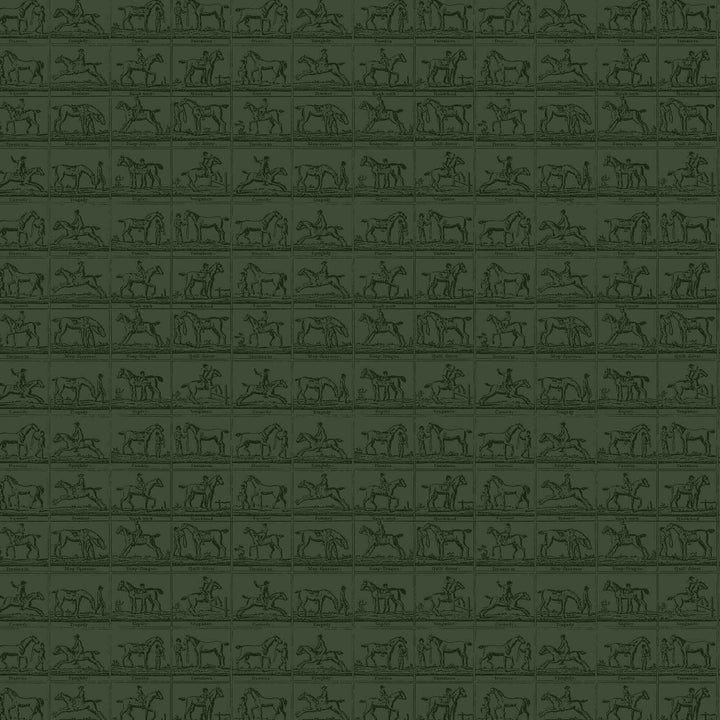 Joules Horse Grid Green Wallpaper