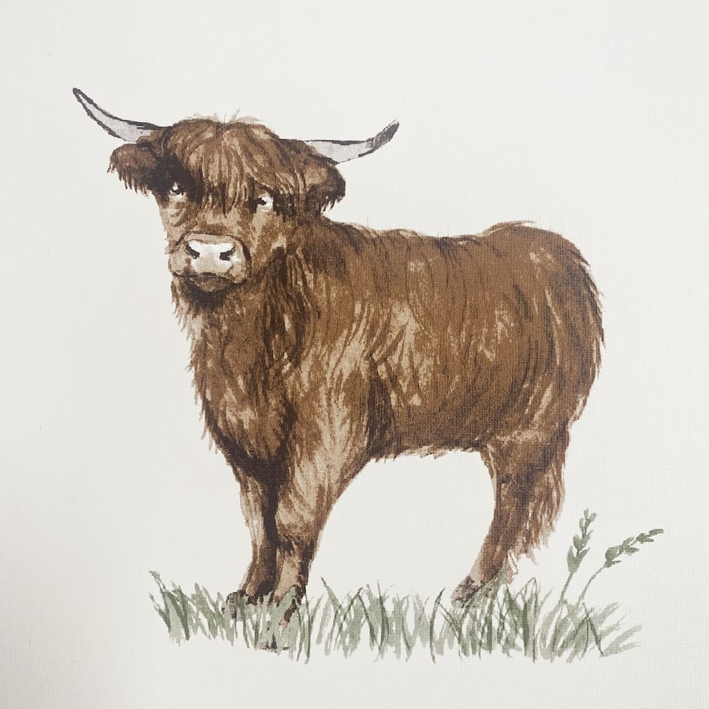 Catherine Lansfield Angus Highland Cow Wallpaper