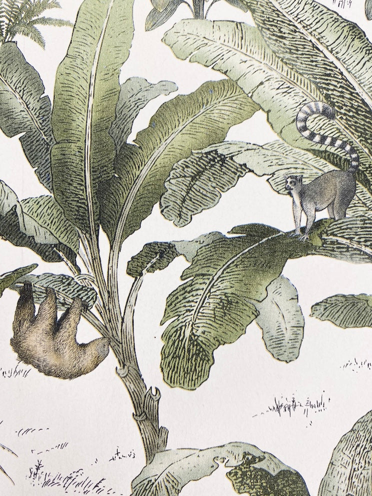 Muriva Jungle Safari Animal Wallpaper