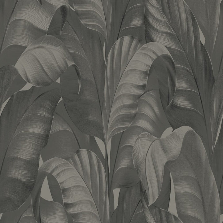 Belgravia Sumatra Leaf Charcoal Wallpaper