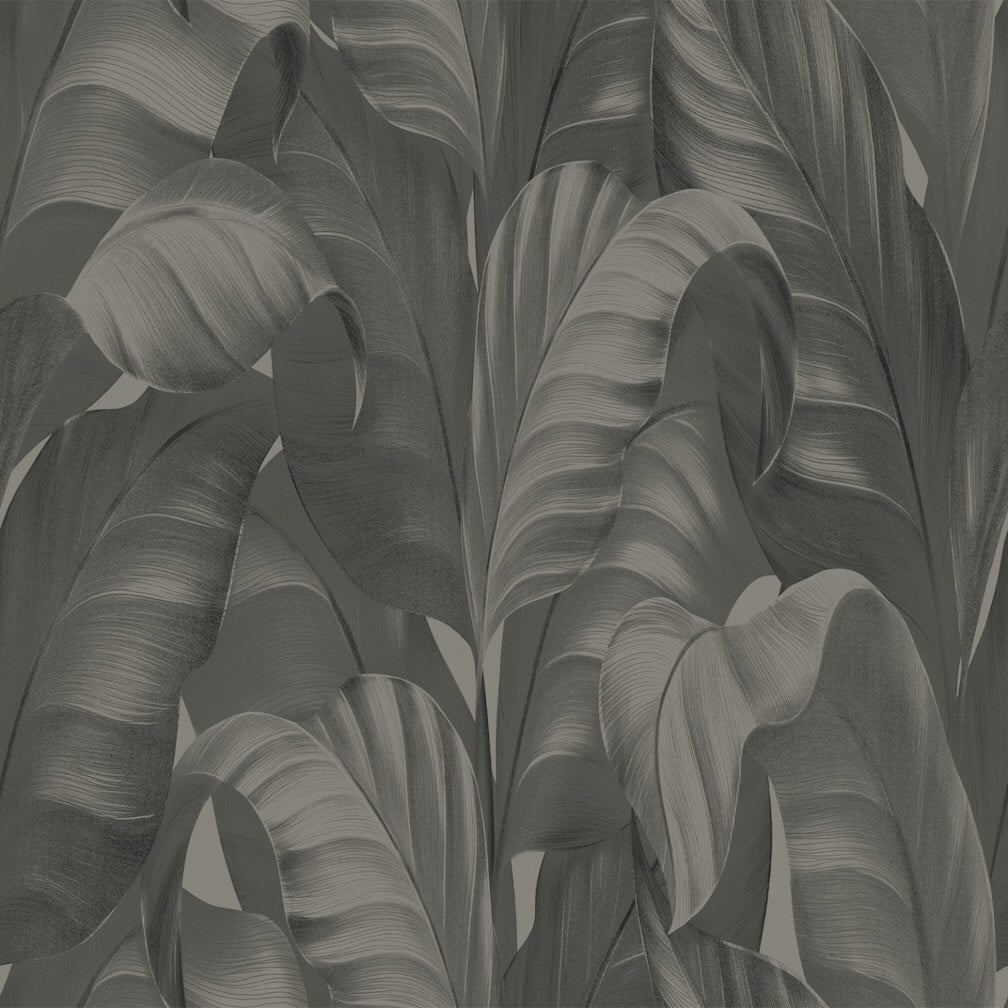Belgravia Sumatra Leaf Charcoal Wallpaper