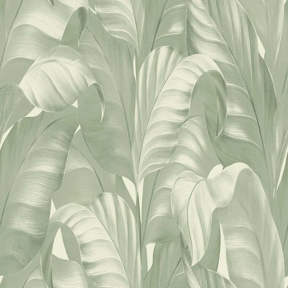 Belgravia Sumatra Sage Wallpaper