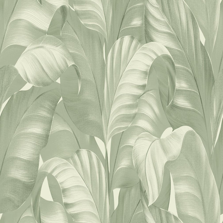 Belgravia Sumatra Sage Wallpaper