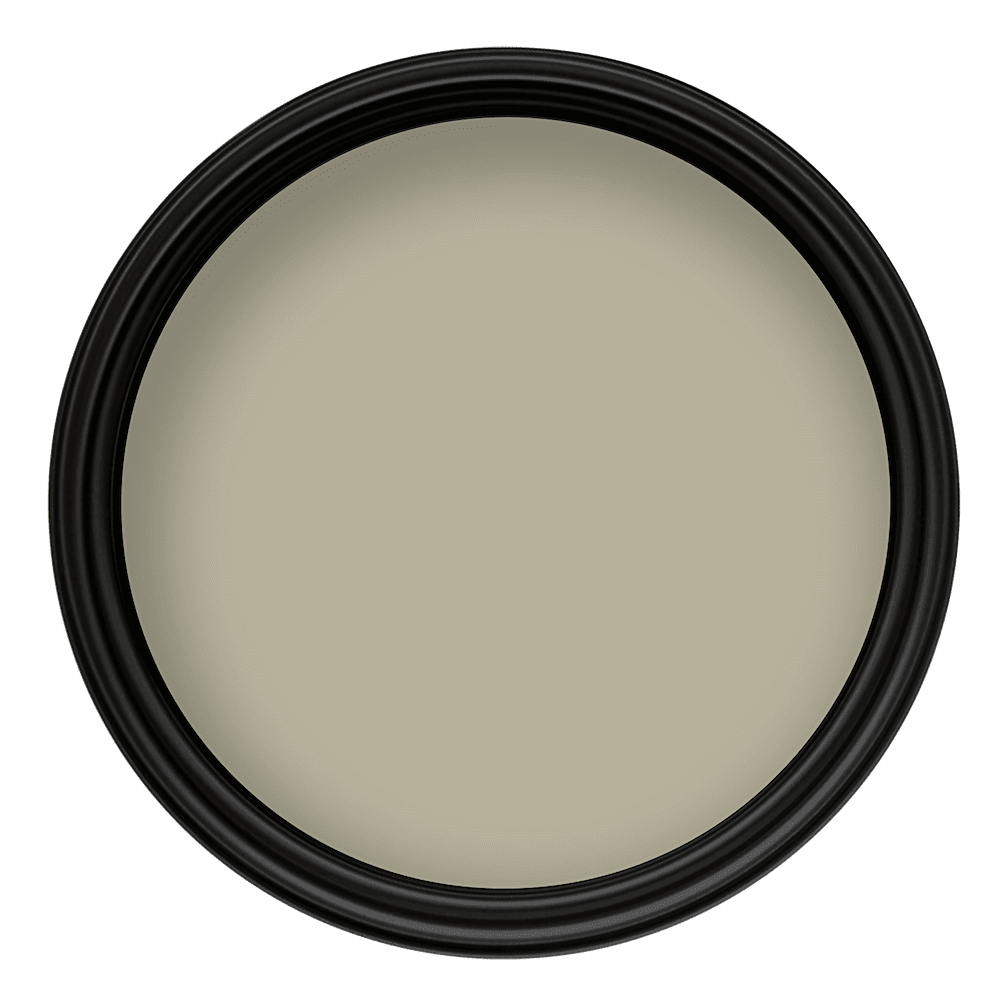 Crown Colour Edit Light Fern Paint