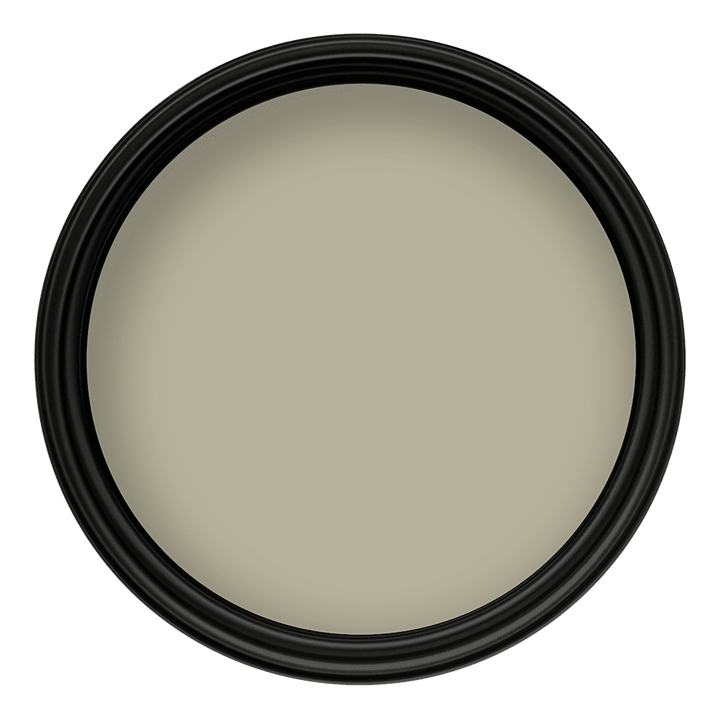 Crown Colour Edit Light Fern Paint