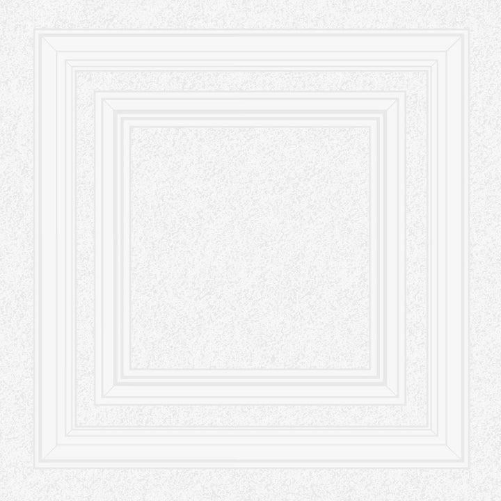 Belgravia White Paintable Panel Wallpaper