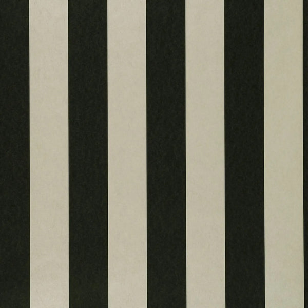 Clarke & Clarke Nevis Ebony Colony Wallpaper