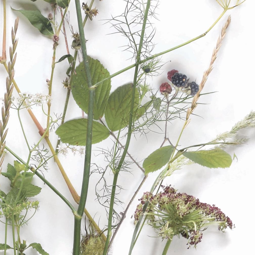 Woodchip & Magnolia Nostalgia Wallpaper