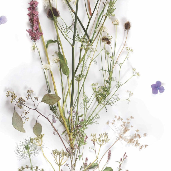 Woodchip & Magnolia Nostalgia Wallpaper