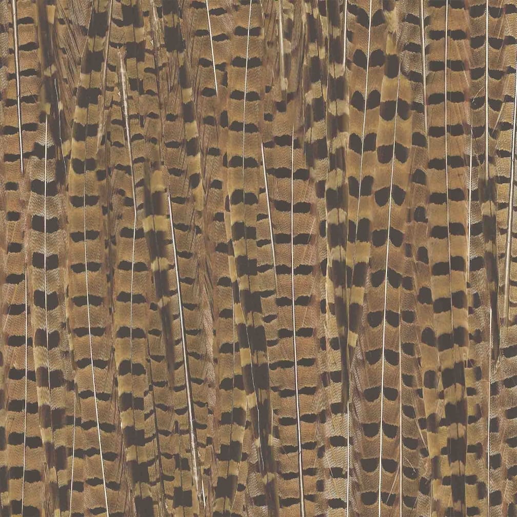 Pheasant Wallpaper