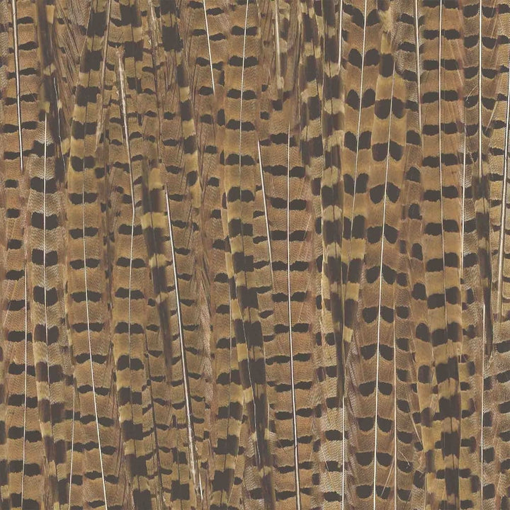 Pheasant Wallpaper