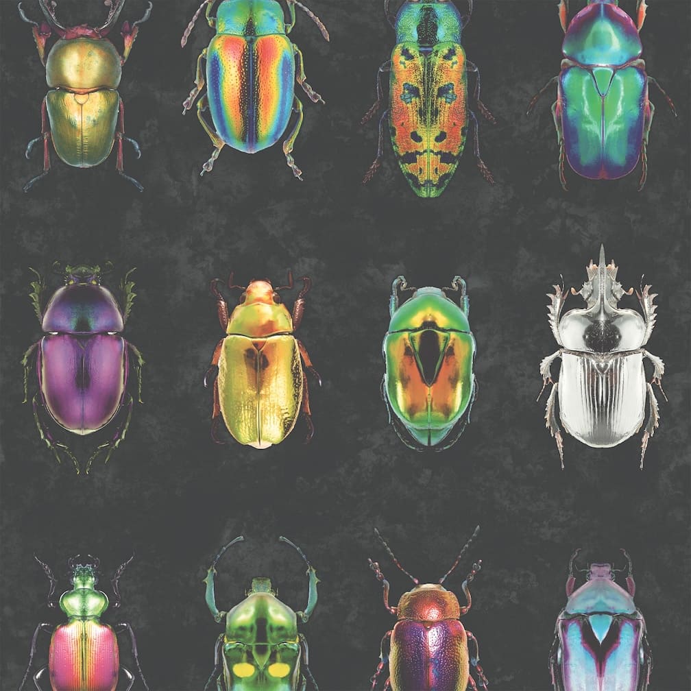 Woodchip & Magnolia Beetle Jewels Multi Black Wallpaper