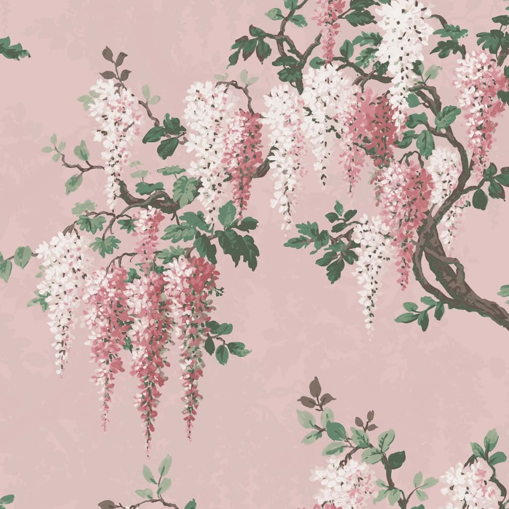 Wisteria Pink Bloom Wallpaper