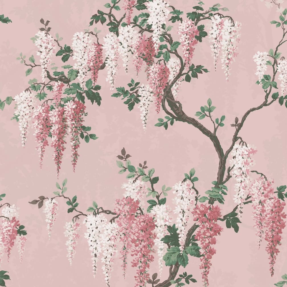 Wisteria Pink Bloom Wallpaper